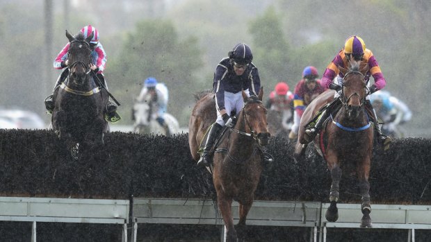 The Warrnambool carnival always attracts controversy over jumps racing.
