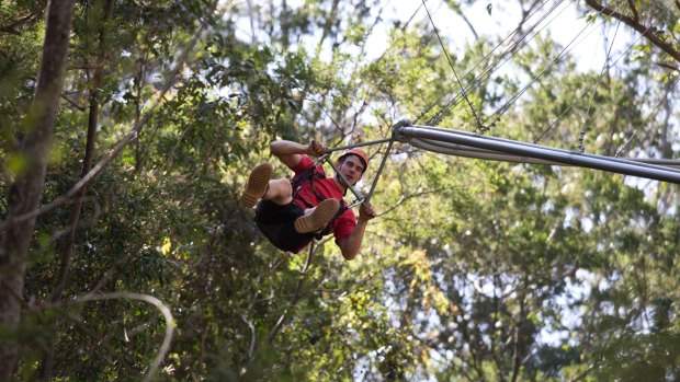 Wild ride: Three times the length of any tree-base zip line in the world: The Crazy Rider.