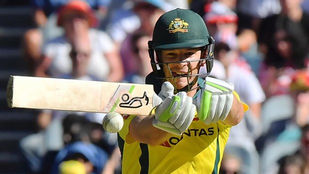 Useful runs: Tim Paine's ability with the bat has helped Australia this summer.