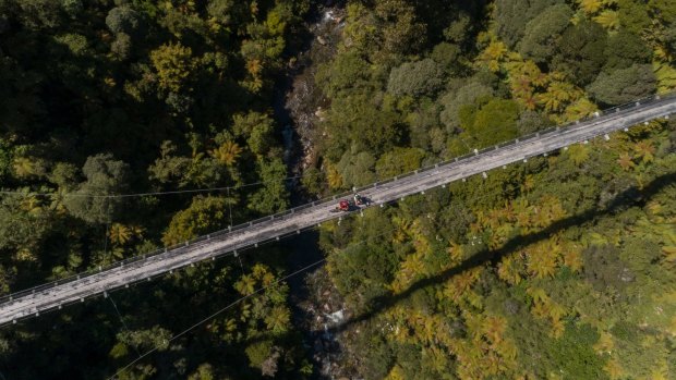 Maramataha Bridge, New Zealand's longest rideable suspension bridge.