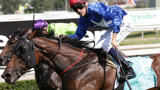 Bolter: Tye Angland rides Flying Jess to victory in the Magic Millions Guineas on Saturday. 