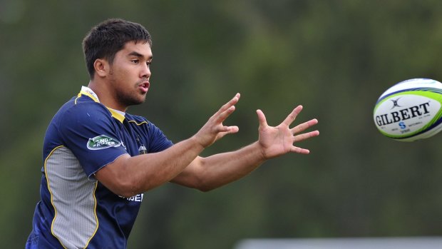 The Brumbies are hoping Jarrad Butler re-signs with the club and steps up to replace David Pocock next year.