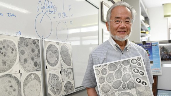 Nobel prize winner: Japanese scientist Yoshinori Ohsumi at the Tokyo Institute of Technology.