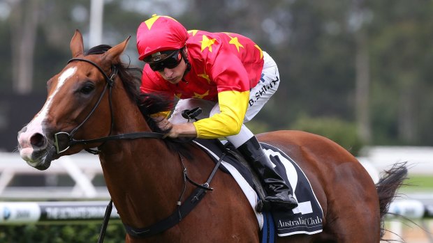 NSW Horse of the Year: First Seal was honoured at Thursday's award night.