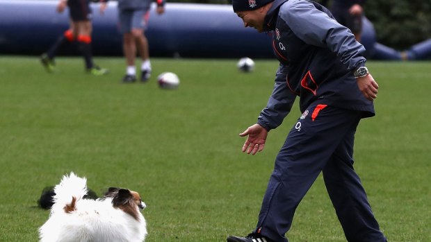 Keeping 'em guessing: Eddie Jones, with his pet dog Annie.