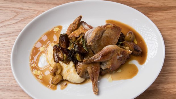 Roasted quail with chestnuts and polenta.