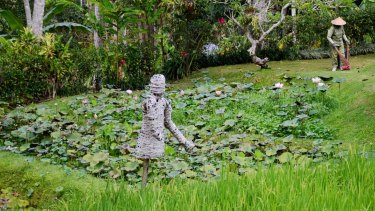 The couple visited rice paddy fields in Ubud while staying in a friend's villa in October. 