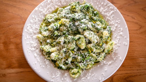Orecchiette scattered with salted ricotta.