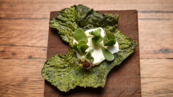 Silverbeet green chip and ricotta and clover. 