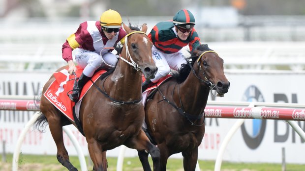 Jockey Damian Lane on Perast (left) holds off Summer Passage in the Ladbrokes Caulfield Guineas Prelude on the Underwood Stakes Day at Caulfield on Sunday.