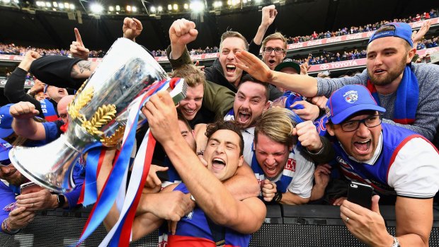 The Western Bulldogs rose to supremacy with class and panache.