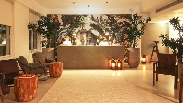 Jungle themed interiors: Dwell hotel.