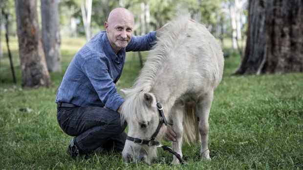 QUT researcher Martin Sillence with one of 50 ponies the university hopes to rehome.