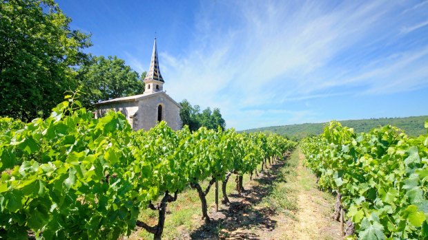 Chartreuse de Valbonne vineyard in Languedoc.