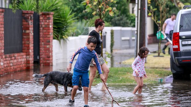 Mitford st in Elwood after Thursday's flash flooding.