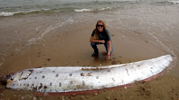Conservation operations coordinator Amy Catalano of the Catalina Conservancy poses near an oarfish that washed up dead on the beach of Catalina Island, California.