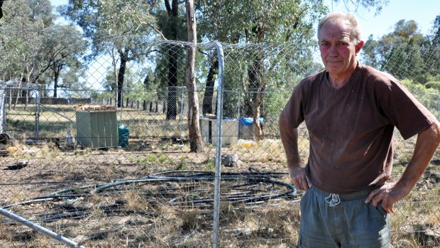 Keith Climpson on the boundary line between his property and 'Camp Kitty.'