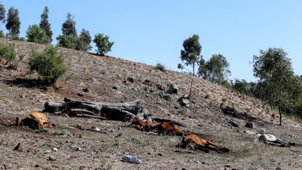 There were 22 horses found dead on the property in Bulla.
