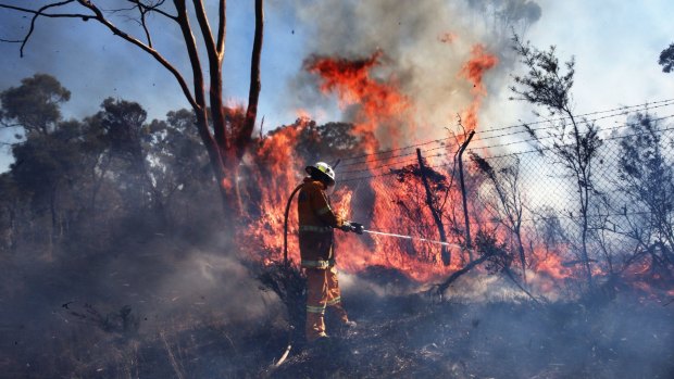 Fires last week at Castlereagh: Another early fire season is expected.