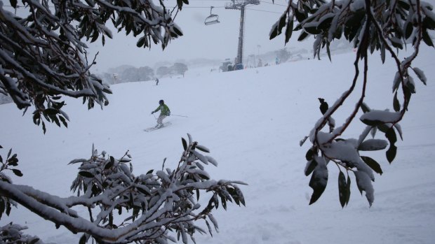 Natural snowfall on top of the man-made material at Perisher.