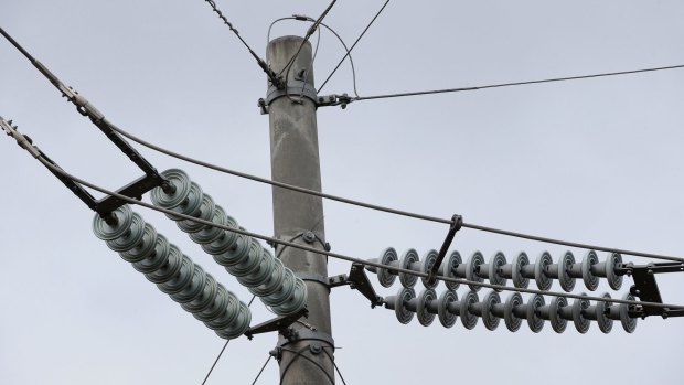 Privatising electricity networks could fetch a handsome price.