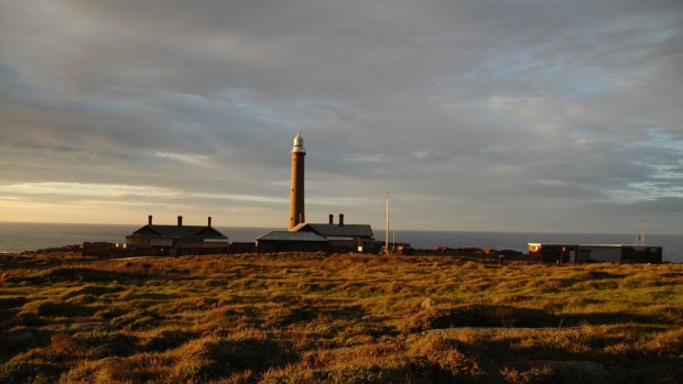 Gabo Island Lighthouse Reserve, Victoria.