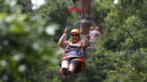 Lord Mayor Graham Quirk has promised to install a zipline at Mt Coot-tha should he be re-elected in two weeks' time.