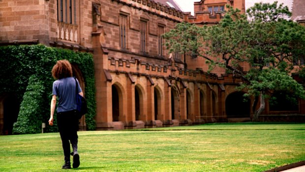 The University of Sydney's medical program is in disarray.