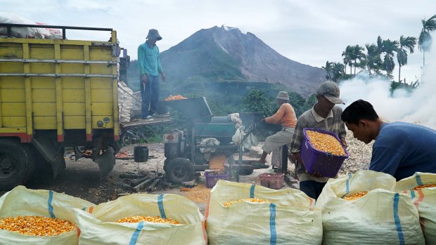 Farmers work at milling corn as Mt Sinabung spews hot smoke in Guru Kinayan village in  North Sumatra.
