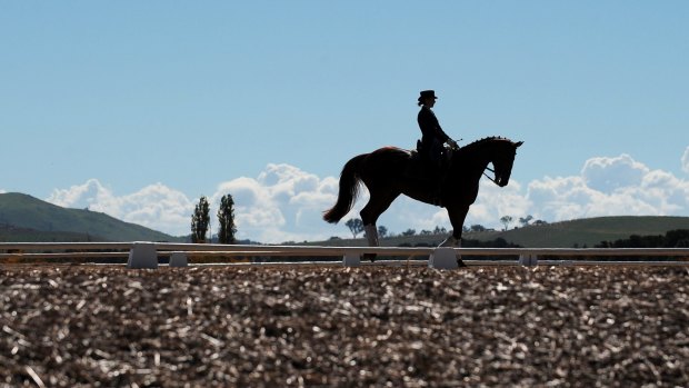 Canberra's horse trials are on this weekend at Curtin's Equestrian Park.