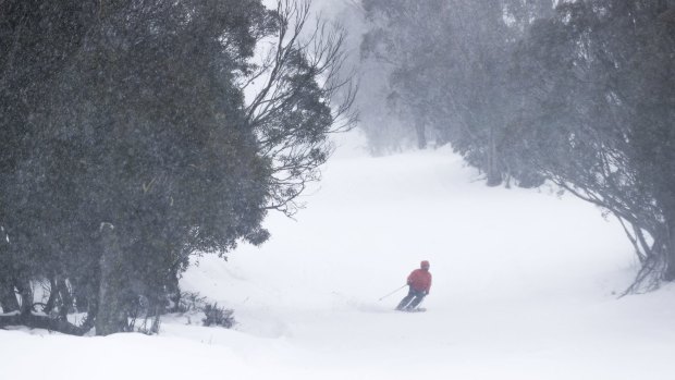 Snow falling during opening day of the ski and snowboard season at Thredbo on Saturday.