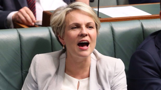 Tanya Plibersek says Labor should change its platform on same-sex marriage at its national conference in July.