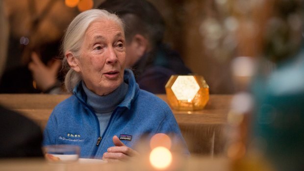 Jane Goodall says the US president has brought scientists ''out of their ivory towers''.