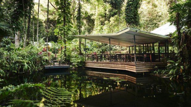 The Daintree Ecolodge