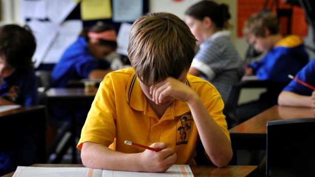 The gap in NAPLAN results showed no signs of improvement. 
