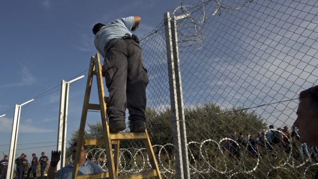 A worker erects a fence as Hungarian police close the border between Serbia and Hungary.