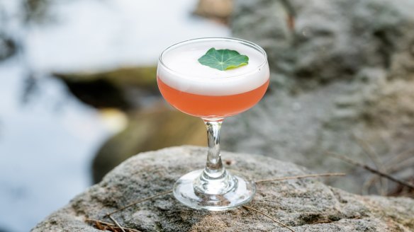 A foraged Trolley'd cocktail.
