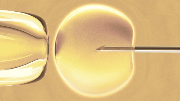 IVF remains beyond the reach of disadvantaged families.