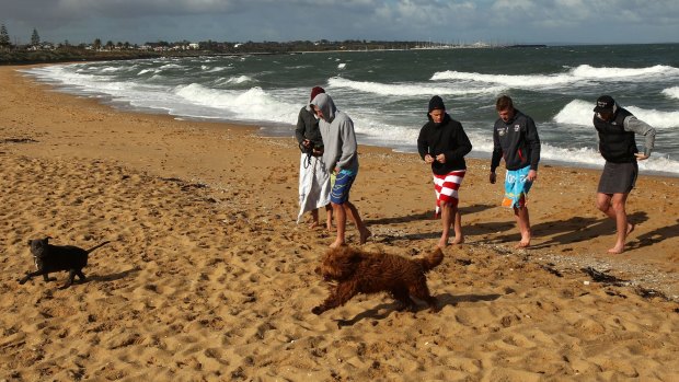 Saints players and their dogs at Brighton on Monday.