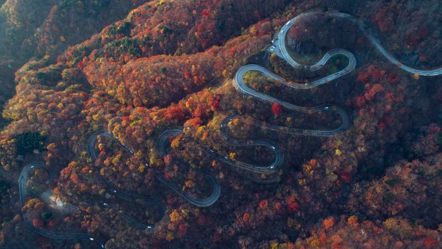 Warning: Curves ahead. Nikko Mountain, Japan.