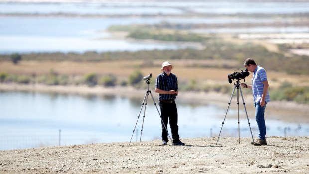 Birdwatchers haven: Dr David Boyle and Barry Lingham (right) of the Geelong Field Naturalists Club, are annoyed by plans to develop the former salt works site on outskirts of Geelong. 