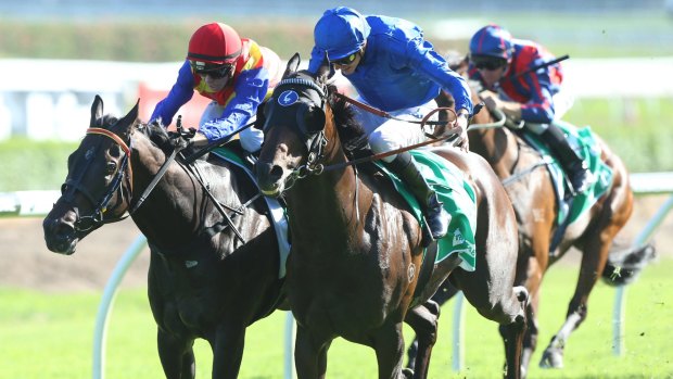 Cracking down: James Doyle rides Badajox to a win in Sydney.