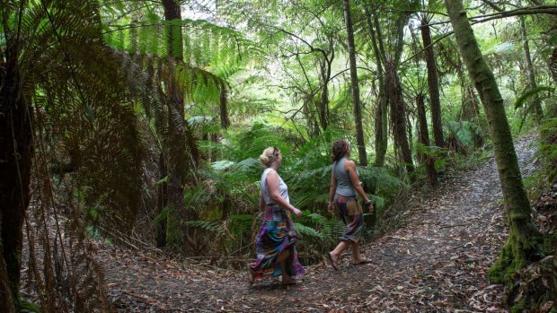 National parks are said to be vulnerable to weeds, deer, horses, foxes and cats.