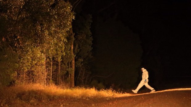A forensic officer walks into Cocoparra National Park, where Stephanie Scott's body was found.