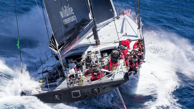 Sydney to Hobart debutant Comanche on the second day of the race.