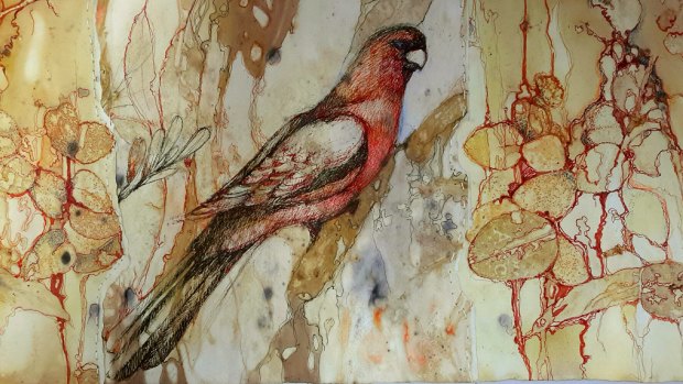 <i>Local Grounds</i> by Jo Hollier, who has an abiding interest in birds.