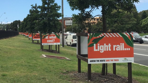 Signs protesting the removal of trees for the light rail into Randwick.
