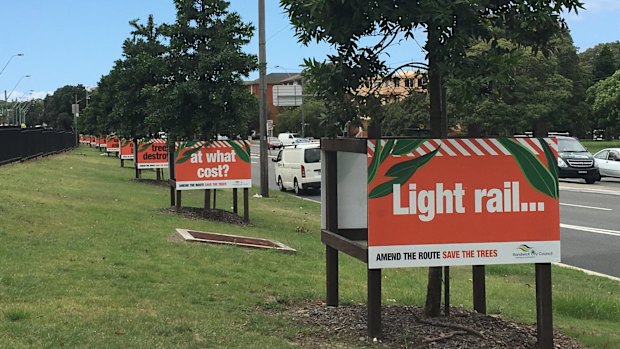 Signs protesting the removal of trees for the light rail into Randwick.
