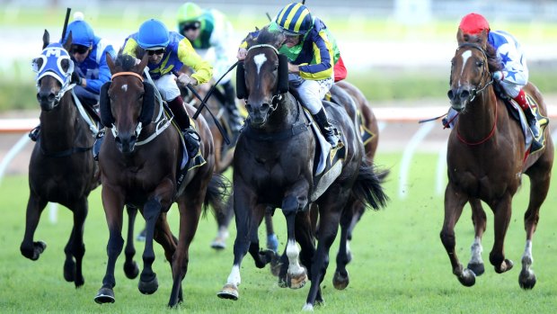 One for the ages: Damien Oliver boots home Tivaci to win the All Aged Stakes Stakes. 