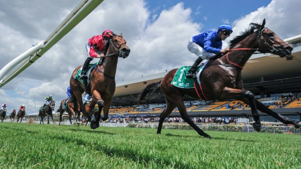 Chasing blue: Dynamited prove too god for Secret Lady at her debut at Rosehill earlier in the month